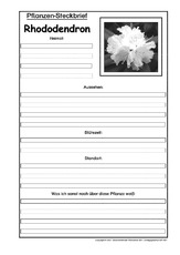 Pflanzensteckbrief-Rhododendron-SW.pdf